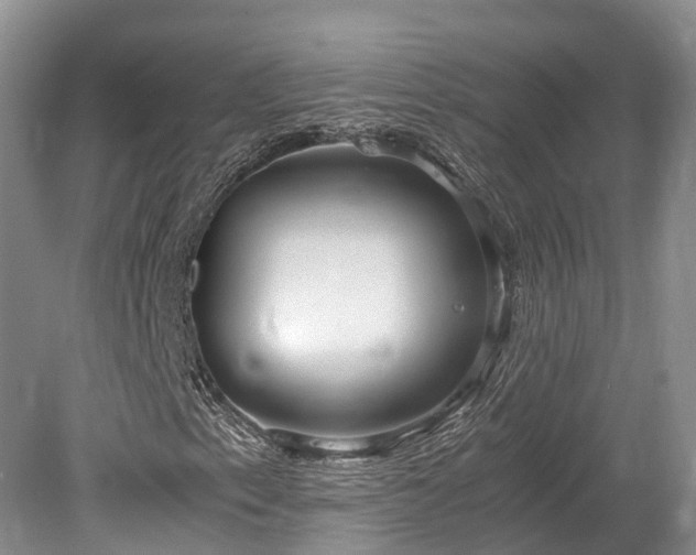 X0000078281153200611101126