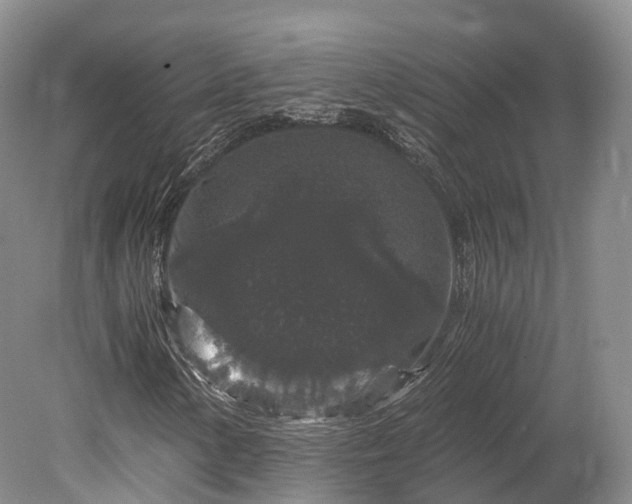 X0000078281154200611101126