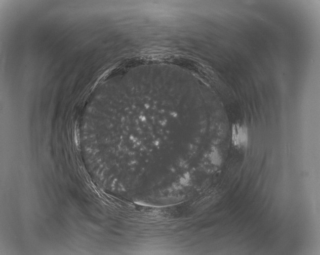 X0000078281155200611101126