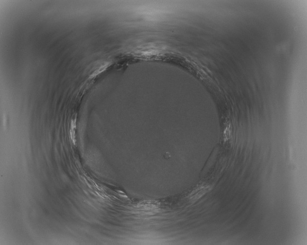 X0000078281156200611101126