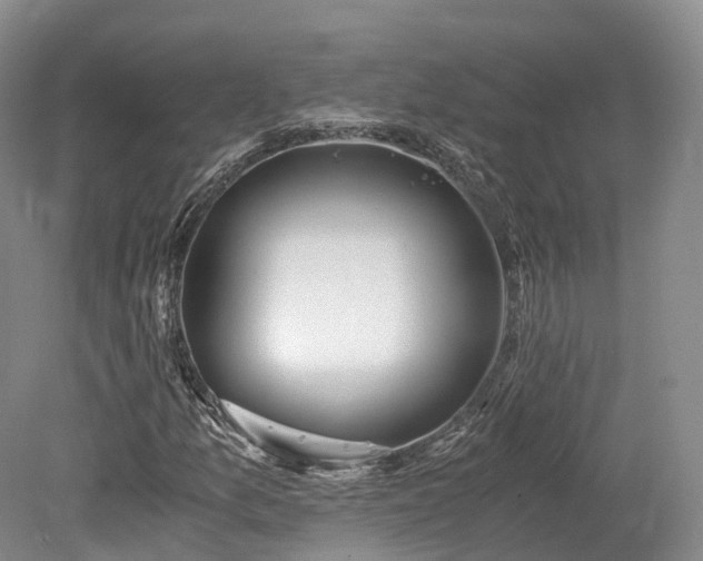 X0000078281157200611101126