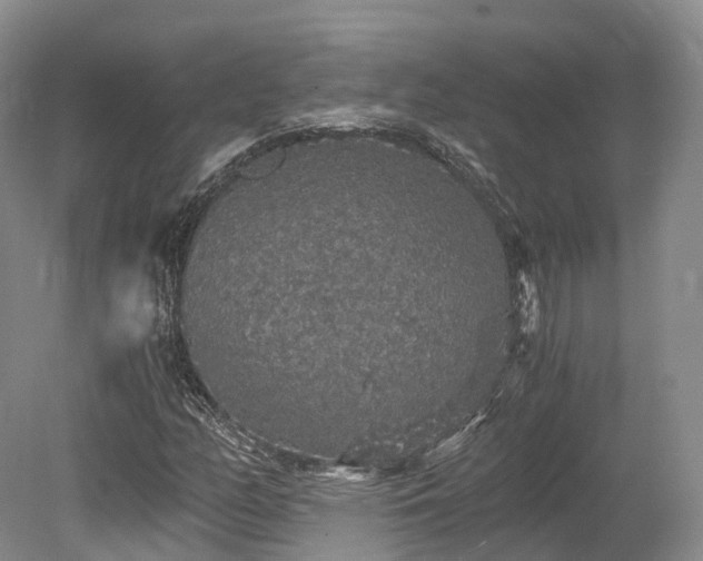 X0000078281158200611101126