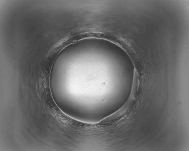 X0000078281159200611101126