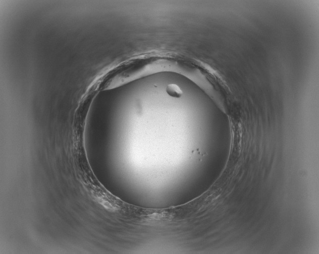 X0000078281160200611101126