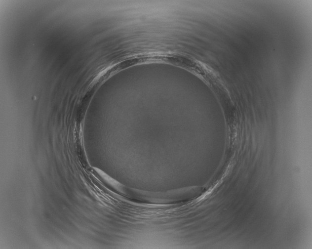 X0000078281161200611101126