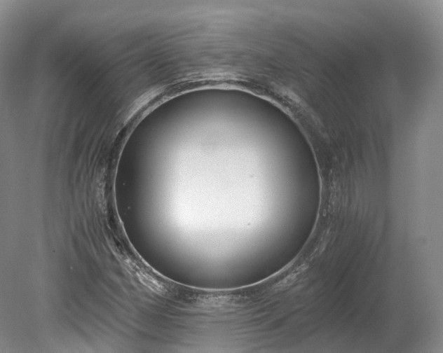 X0000078281162200611101126