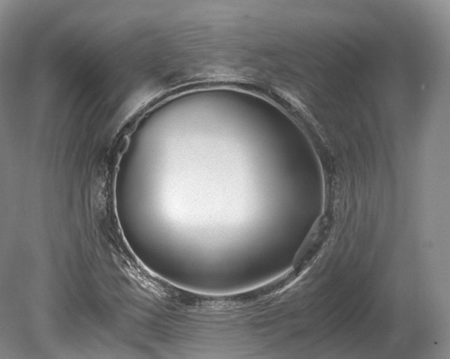 X0000078281163200611101126