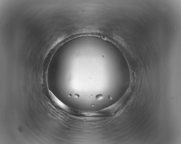 X0000078281165200611101126