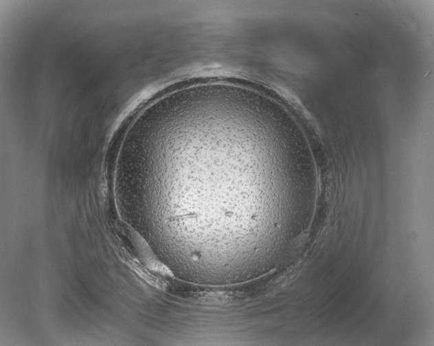 X0000078281167200611101126