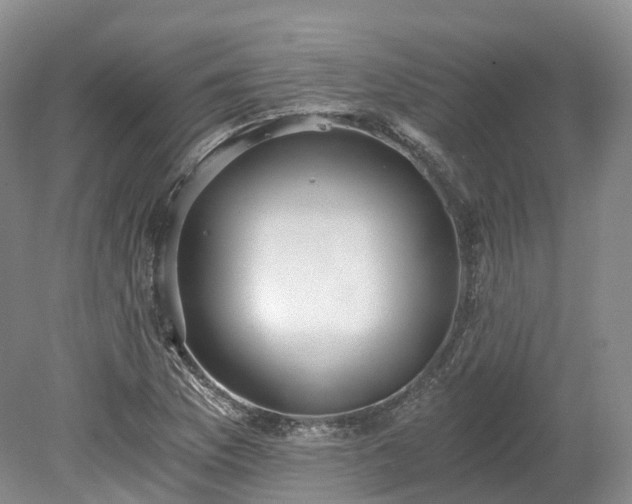 X0000078281169200611101126