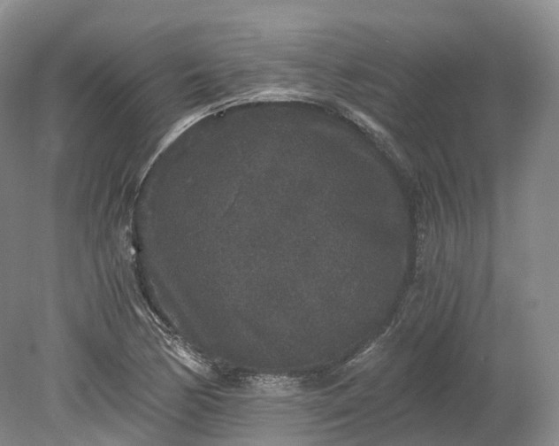 X0000078281170200611101126