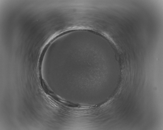 X0000078281173200611101126