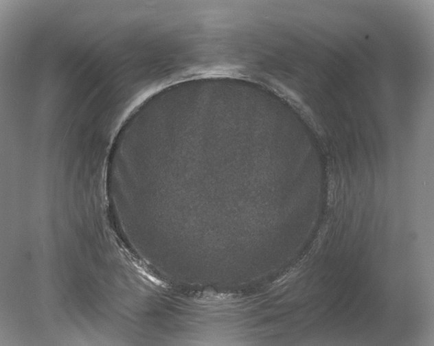 X0000078281174200611101126