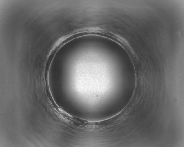 X0000078281176200611101126