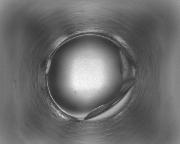 X0000078281177200611101126