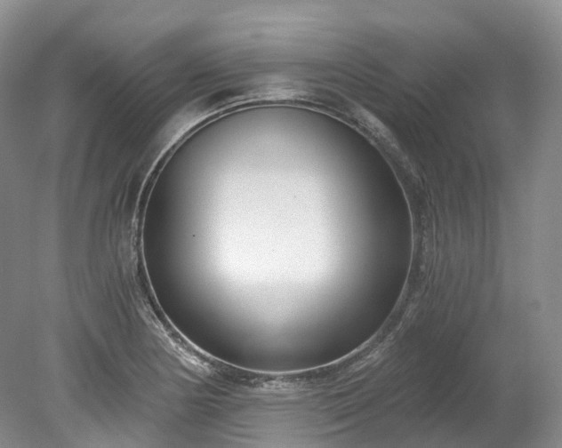 X0000078281178200611101126