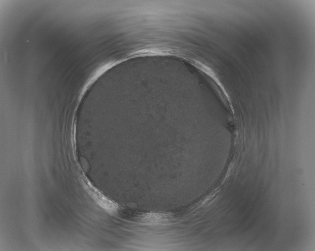 X0000078281179200611101126