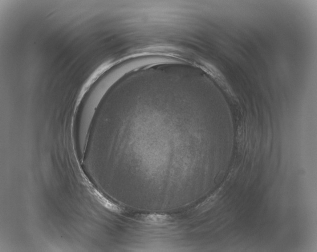 X0000078281180200611101126