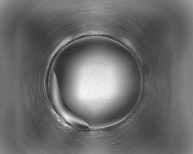 X0000078281181200611101126