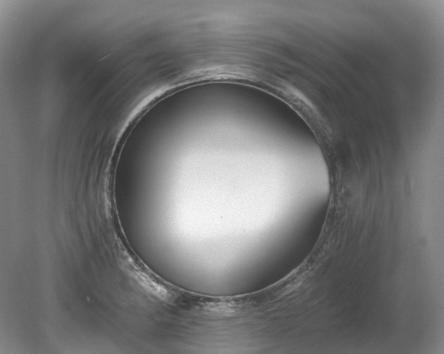 X0000078281182200611101126