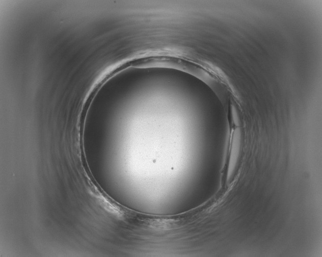 X0000078281184200611101125