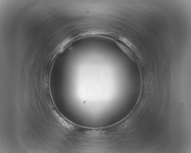 X0000078281185200611101125