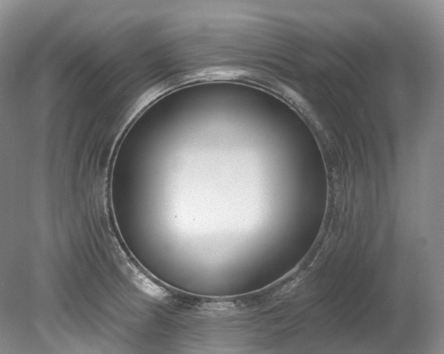 X0000078281186200611101125