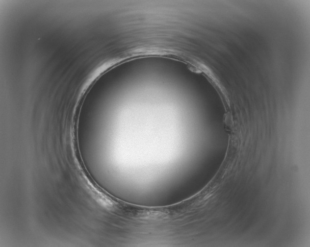 X0000078281187200611101125