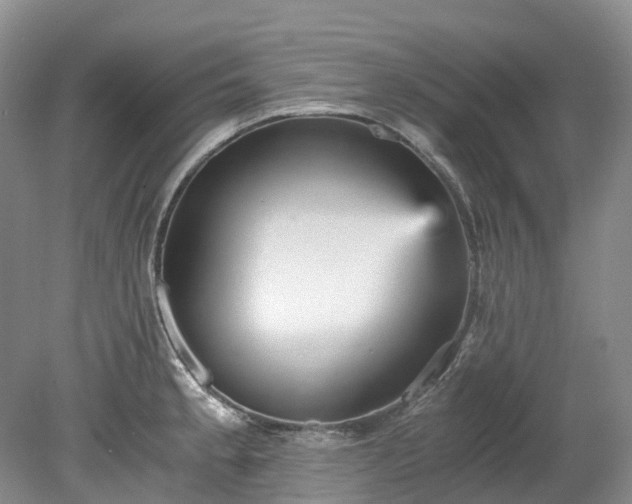 X0000078281189200611101125