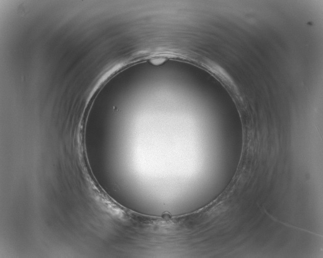 X0000078281190200611101125