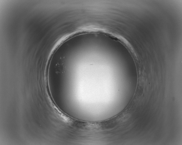 X0000078281191200611101125