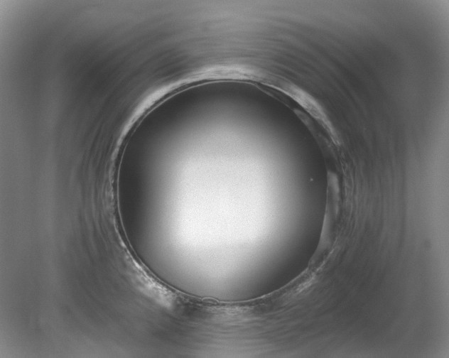 X0000078281192200611101125