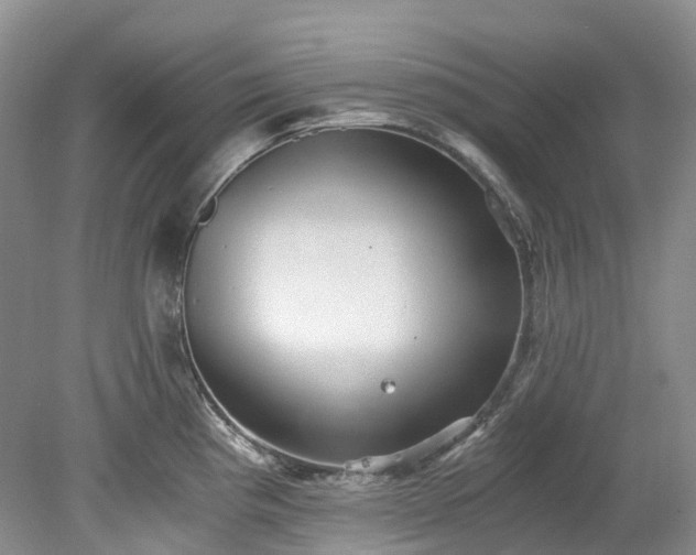 X0000078281193200611101125