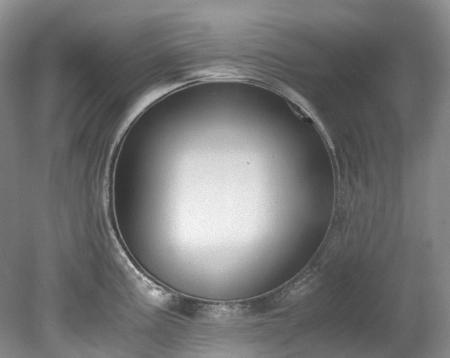 X0000078281195200611101125