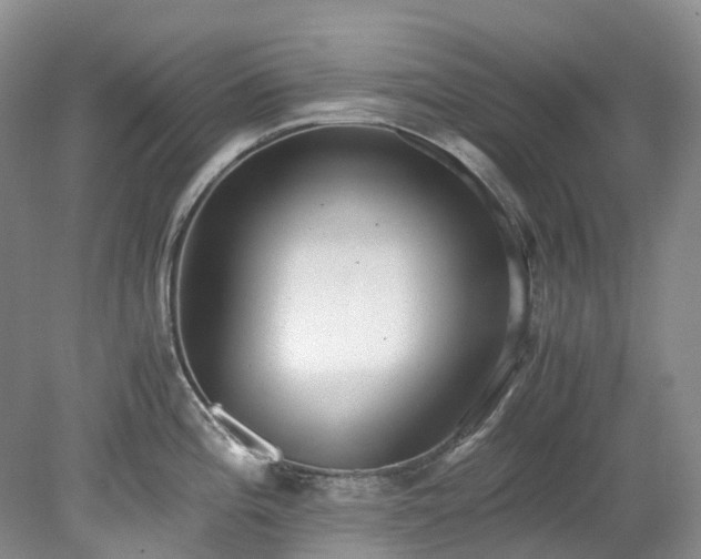 X0000078281196200611101125