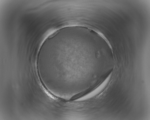 X0000078281197200611101125