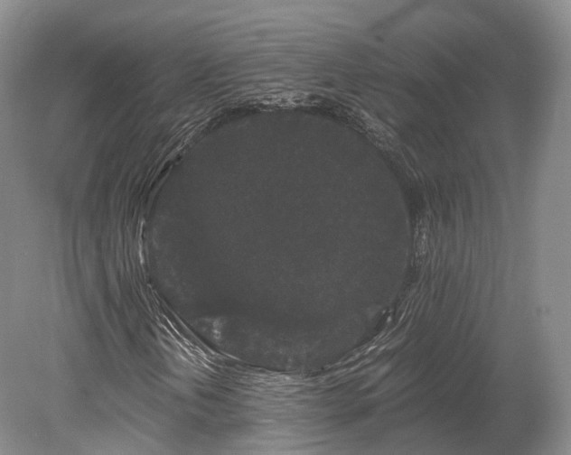 X0000078281202200611101124