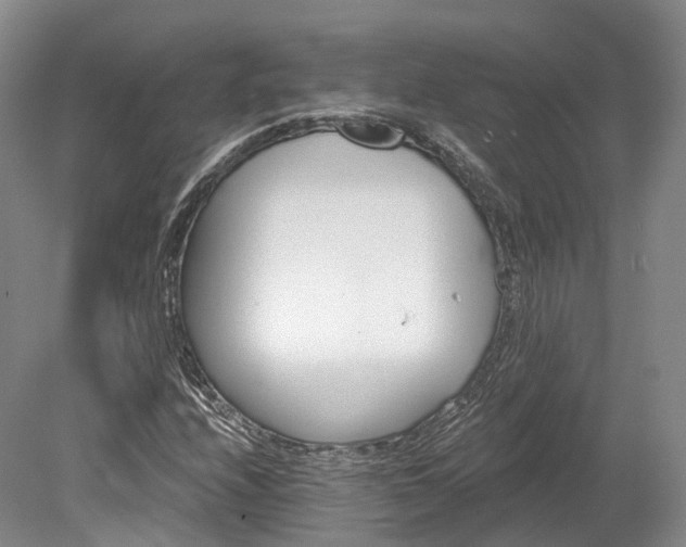 X0000078281208200611101125