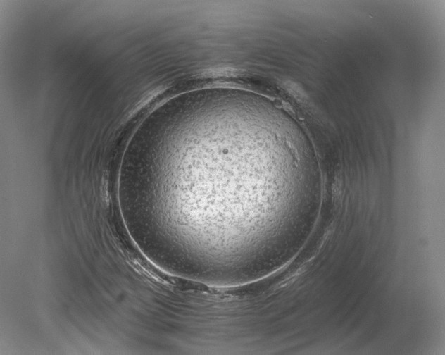 X0000078281209200611101125