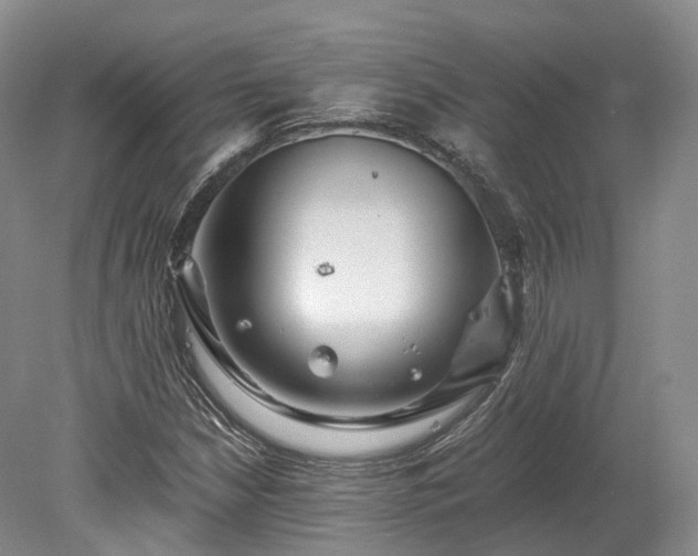 X0000078281210200611101125