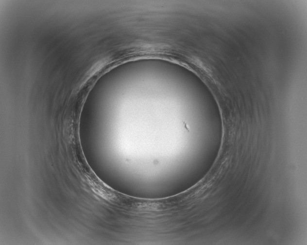 X0000078281211200611101125