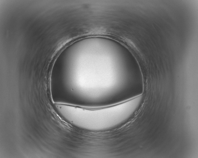 X0000078281212200611101125