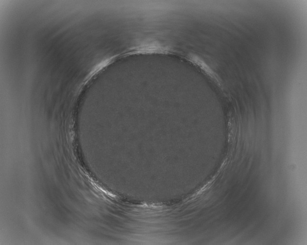 X0000078281213200611101125