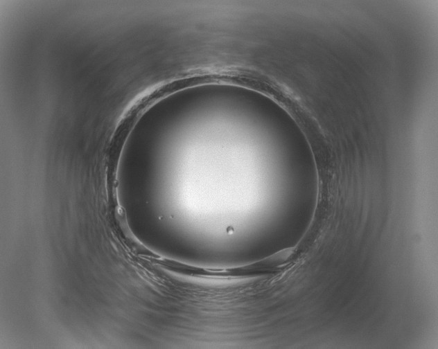 X0000078281214200611101125