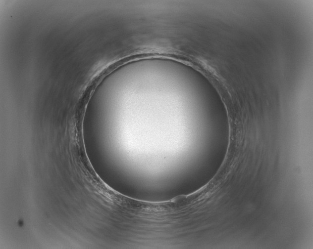 X0000078281215200611101125