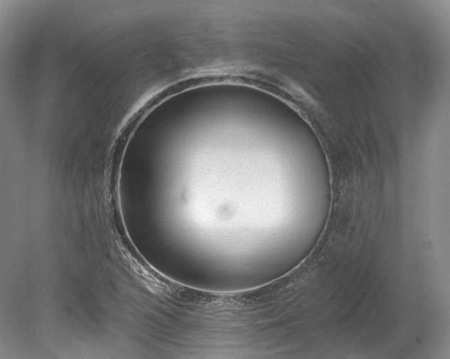 X0000078281216200611101125