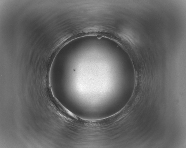 X0000078281217200611101125