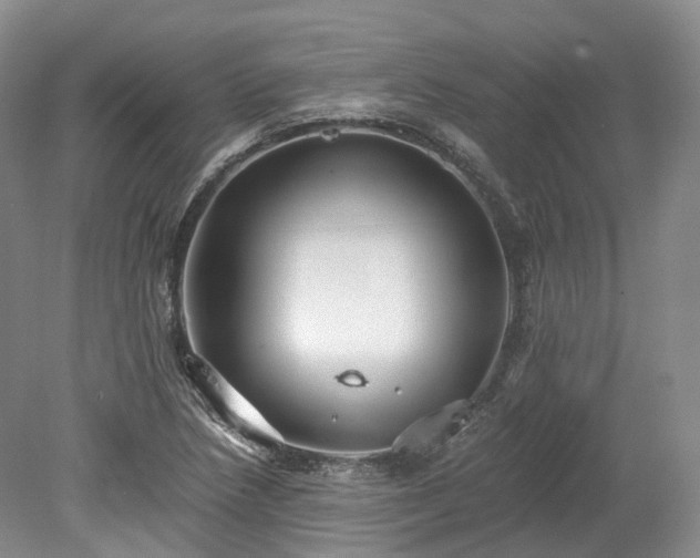 X0000078281218200611101125