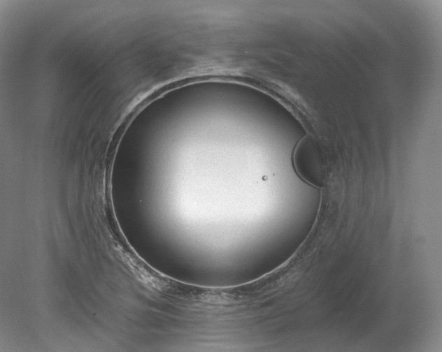 X0000078281220200611101125