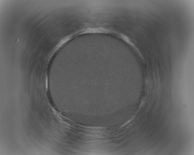 X0000078281221200611101125